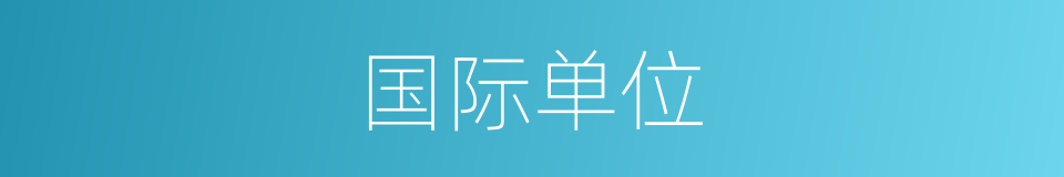 国际单位的同义词