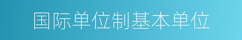 国际单位制基本单位的同义词