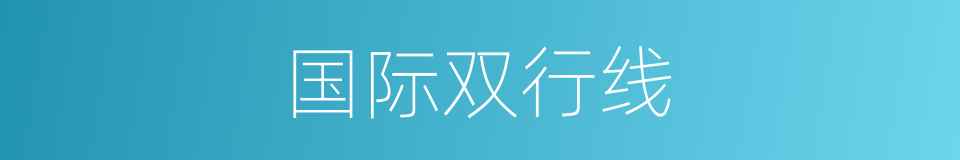 国际双行线的同义词