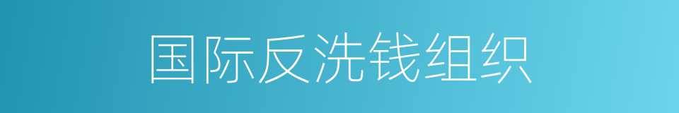 国际反洗钱组织的同义词