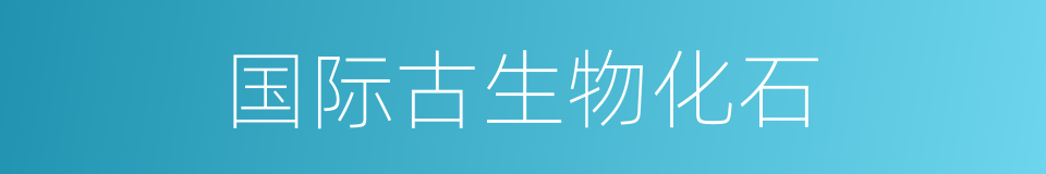 国际古生物化石的同义词