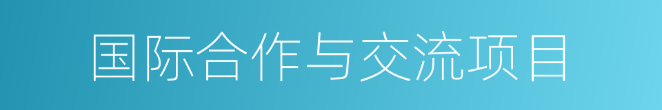 国际合作与交流项目的同义词