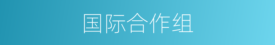 国际合作组的同义词