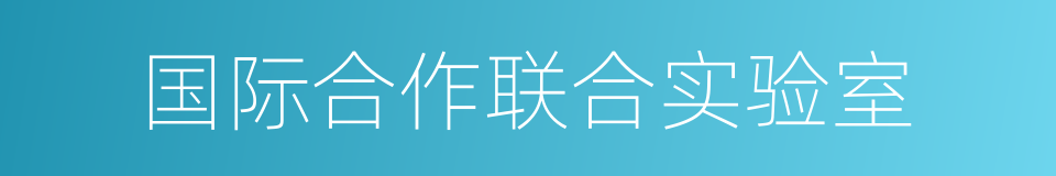 国际合作联合实验室的同义词