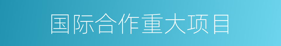 国际合作重大项目的同义词