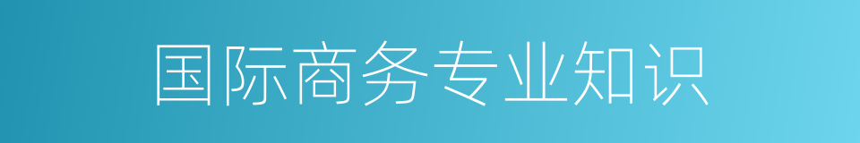 国际商务专业知识的同义词