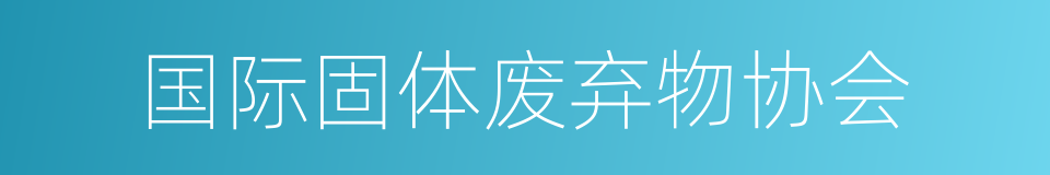 国际固体废弃物协会的同义词