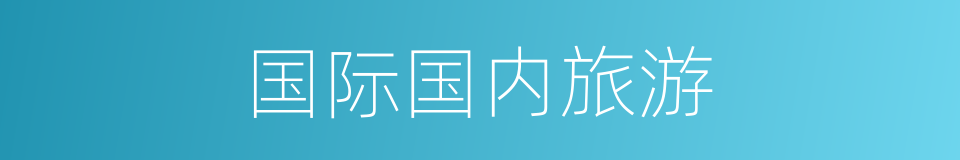 国际国内旅游的同义词