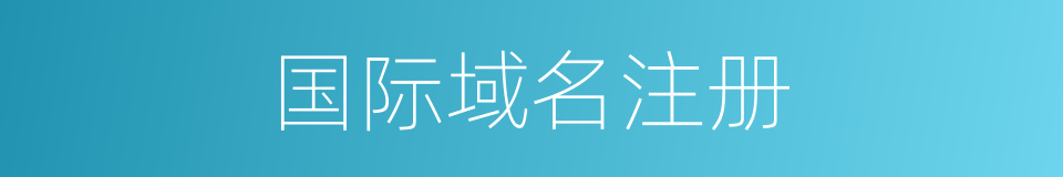 国际域名注册的同义词