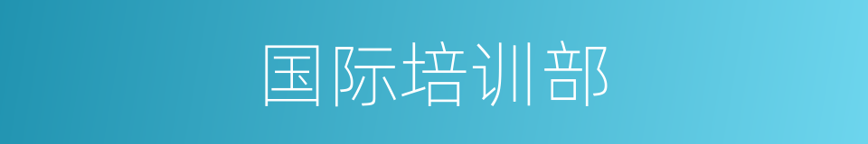 国际培训部的同义词