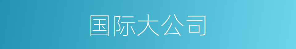 国际大公司的同义词