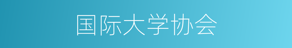 国际大学协会的同义词