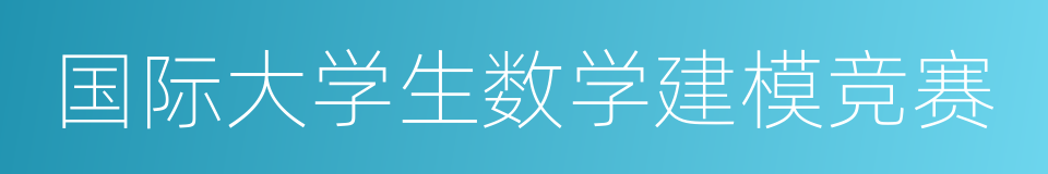 国际大学生数学建模竞赛的同义词