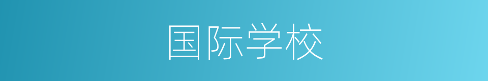 国际学校的同义词