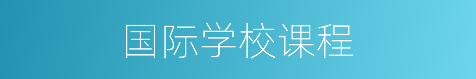 国际学校课程的同义词