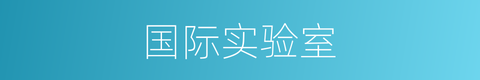 国际实验室的同义词