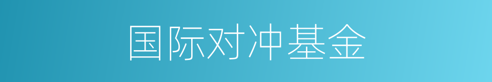 国际对冲基金的同义词