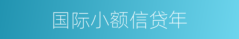 国际小额信贷年的同义词