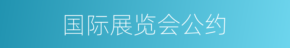 国际展览会公约的同义词