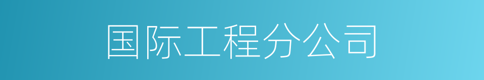 国际工程分公司的同义词
