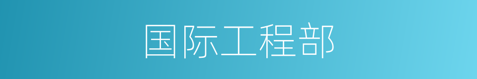 国际工程部的同义词