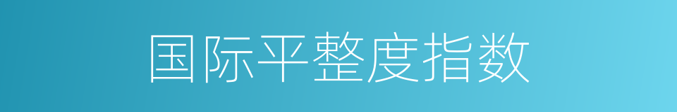 国际平整度指数的同义词