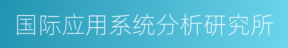 国际应用系统分析研究所的同义词