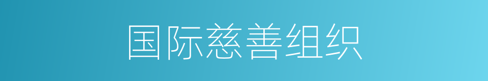 国际慈善组织的同义词
