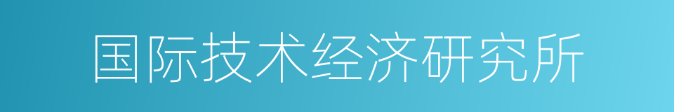 国际技术经济研究所的同义词