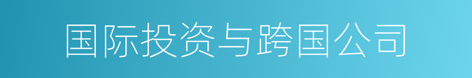 国际投资与跨国公司的同义词