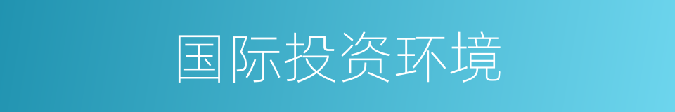 国际投资环境的同义词