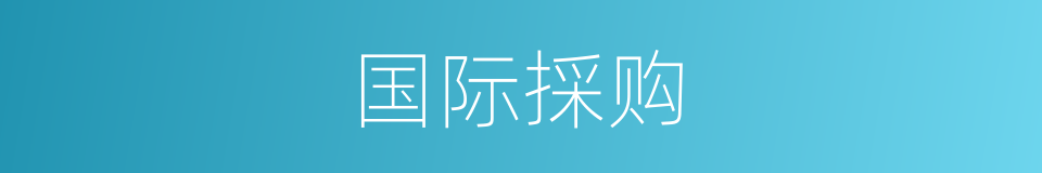 国际採购的同义词