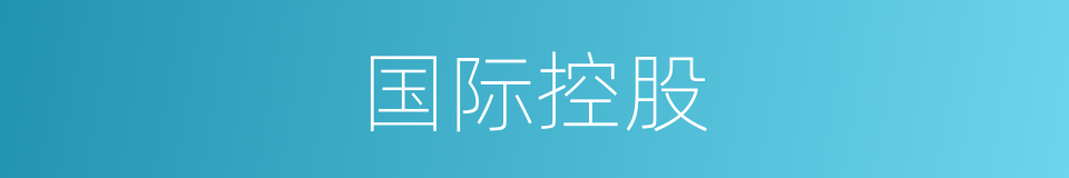 国际控股的同义词