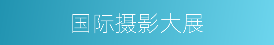 国际摄影大展的同义词