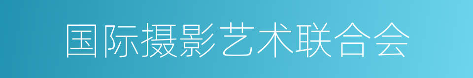 国际摄影艺术联合会的同义词