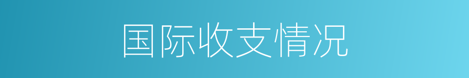 国际收支情况的同义词