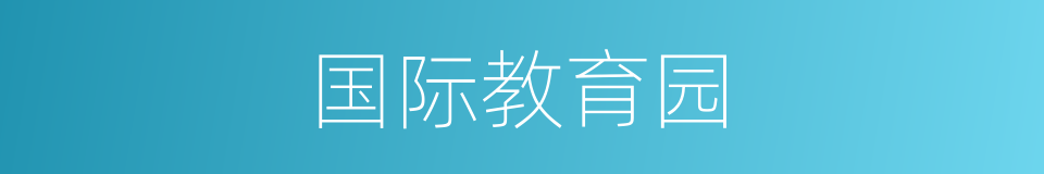 国际教育园的同义词