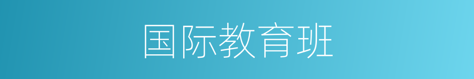 国际教育班的同义词