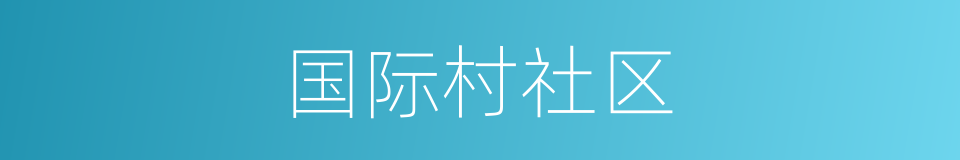 国际村社区的同义词