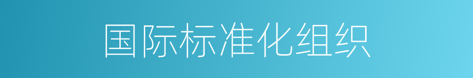 国际标准化组织的同义词