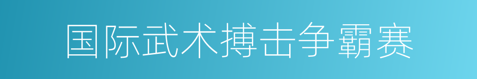 国际武术搏击争霸赛的同义词