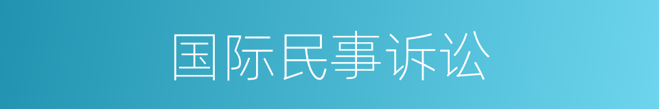 国际民事诉讼的同义词