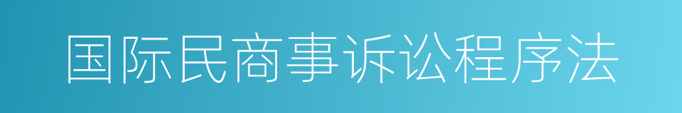 国际民商事诉讼程序法的同义词