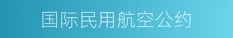 国际民用航空公约的同义词