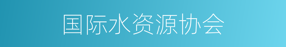 国际水资源协会的同义词