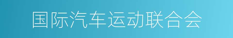 国际汽车运动联合会的同义词