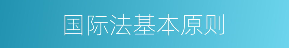 国际法基本原则的同义词