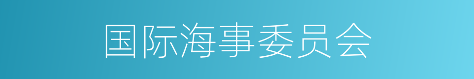 国际海事委员会的同义词