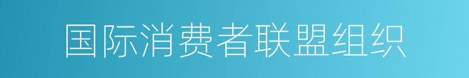国际消费者联盟组织的同义词