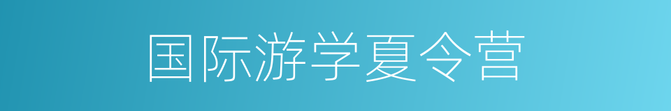 国际游学夏令营的同义词